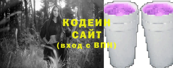 гашик Кодинск