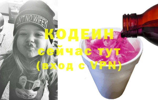 гашик Кодинск