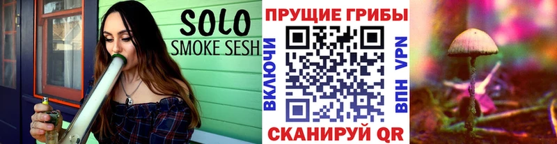 Галлюциногенные грибы Psilocybe  как найти наркотики  Лебедянь 